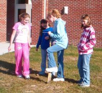 planting red bud trees